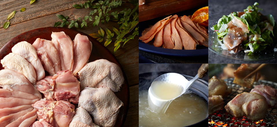 写真：地鶏 丹波黒どり、丹波赤どり、丹波朝霧どりの様々な部位の生肉。スープや炭焼き、サラダなどの料理。